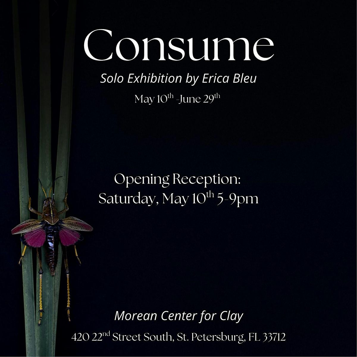 Erica Bleu: Consume Exhibition Opening, 10 May | Event in St. Petersburg | AllEvents