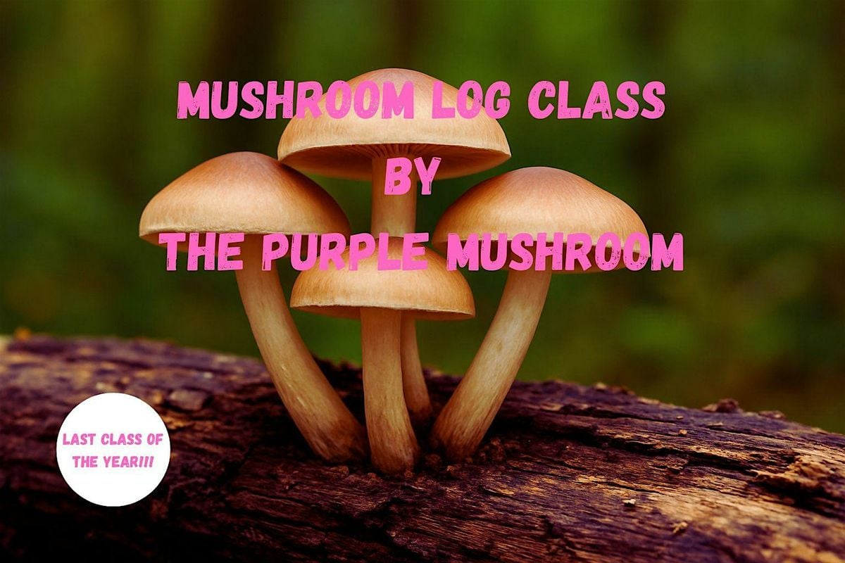 The Mushroom Log to Table  Experience: Grow Your Own Mushrooms, 18 October | Event in Columbia | AllEvents