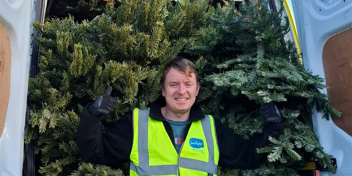 Sue Ryder Christmas Treecycling Bedfordshire and Borders, 8 January | Event in Moggerhanger | AllEvents