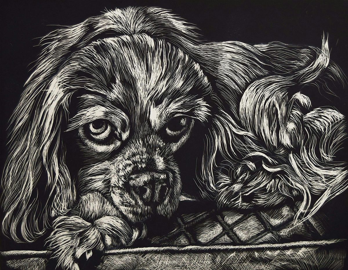 Scratchboard, 4 November | Event in Camas | AllEvents