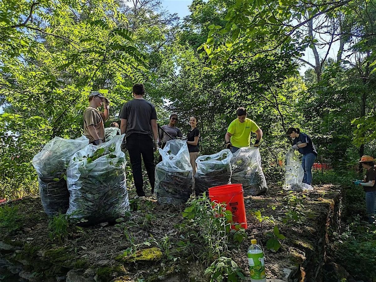 Volunteer Workday: Clark Nature Preserve, 13 July | Event in Pequea | AllEvents