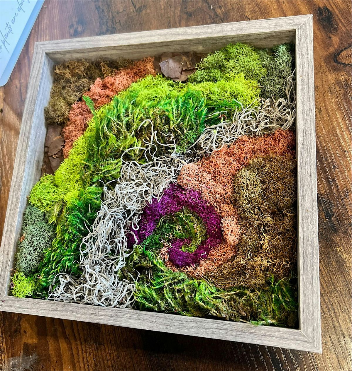 Moss Art Workshop, 13 August | Event in Salisbury | AllEvents