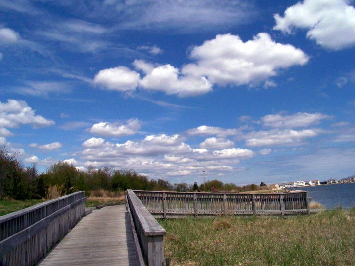 Berkeley Shores Civic Association 2023 Annual Community Garage Sale, H