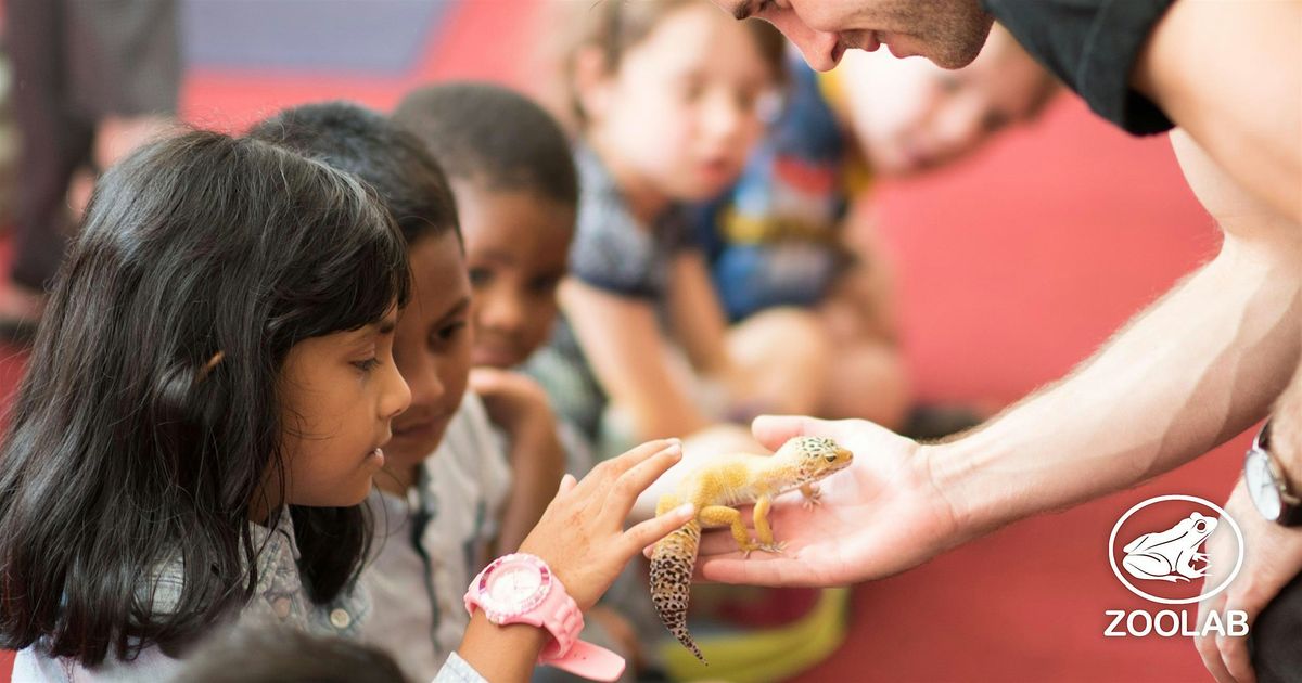 Creepy Crawly Zoolab Halloween Workshop, 29 October | Event in Falmouth | AllEvents