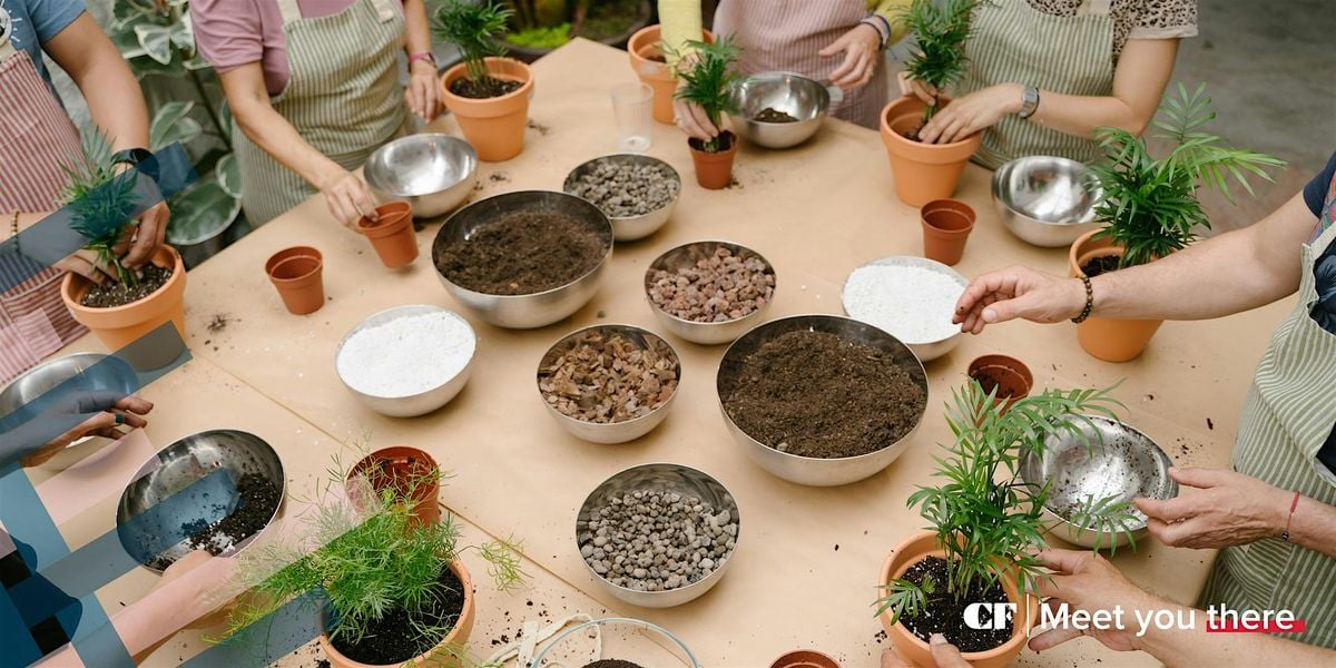 CF Plant & Sip, 19 August | Event in Toronto | AllEvents