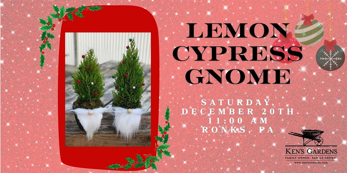 Lemon Cypress Gnome (Intercourse), 20 December | Event in Ronks | AllEvents