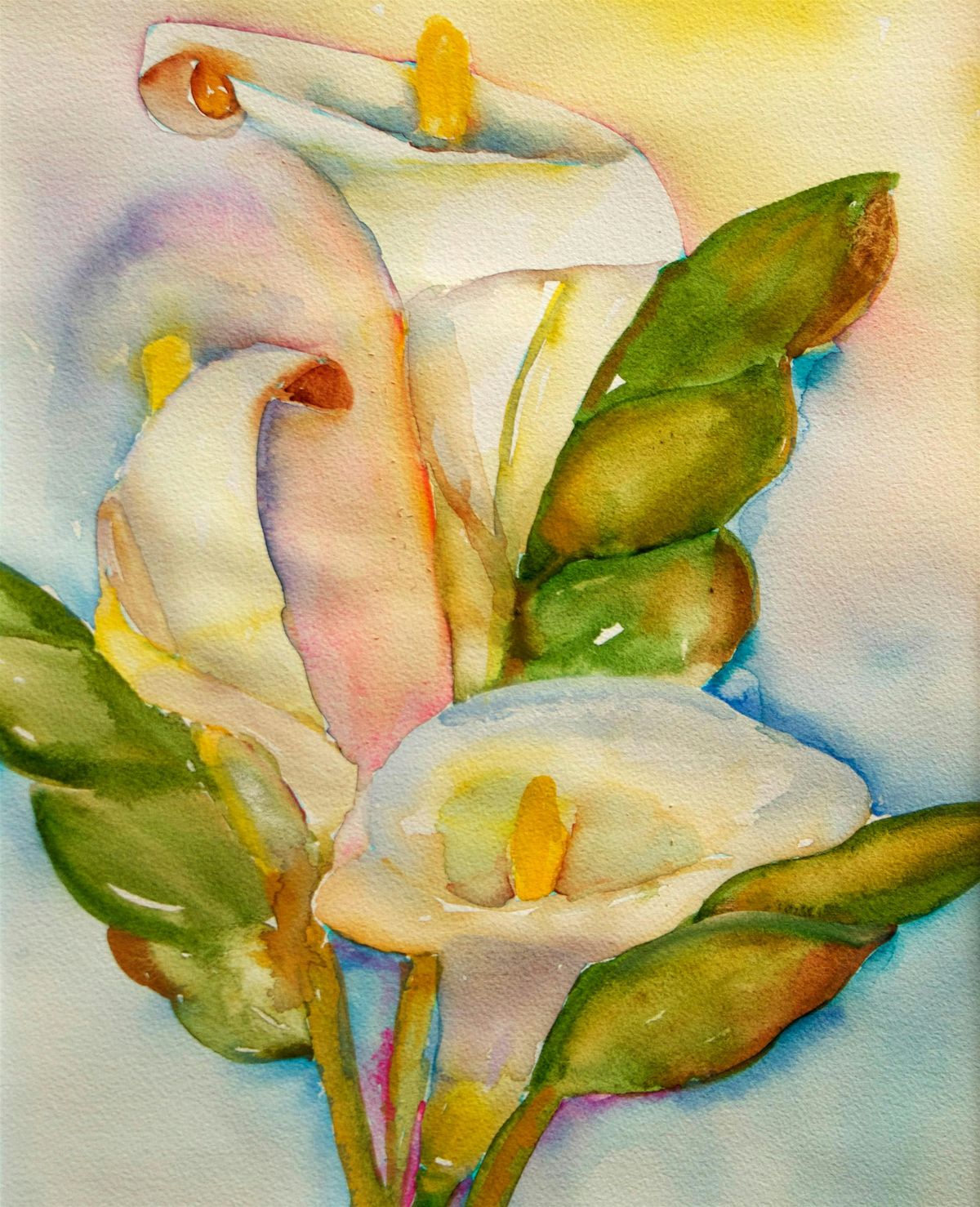 Calla Lillies in Watercolors with Phyllis Gubins, 27 July | Event in Ventura | AllEvents