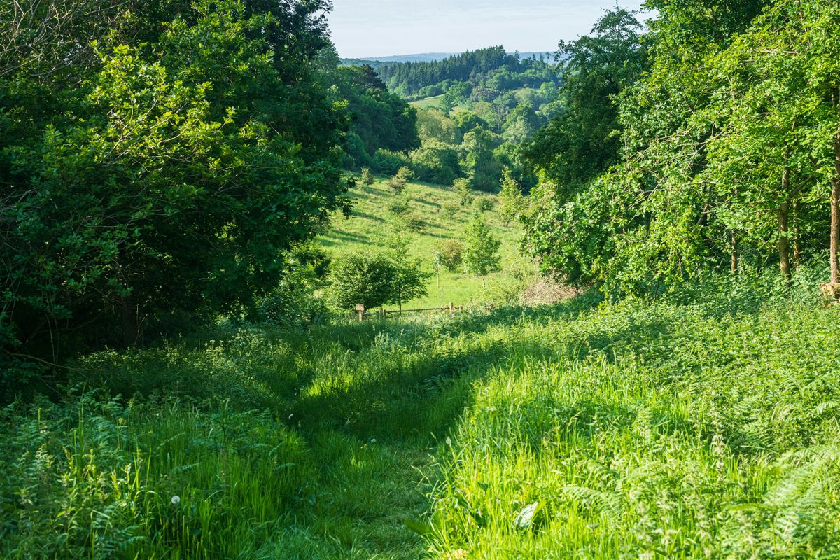 Woolhope Work Party -Wessington Meadow, 11 November | Event in Hereford | AllEvents