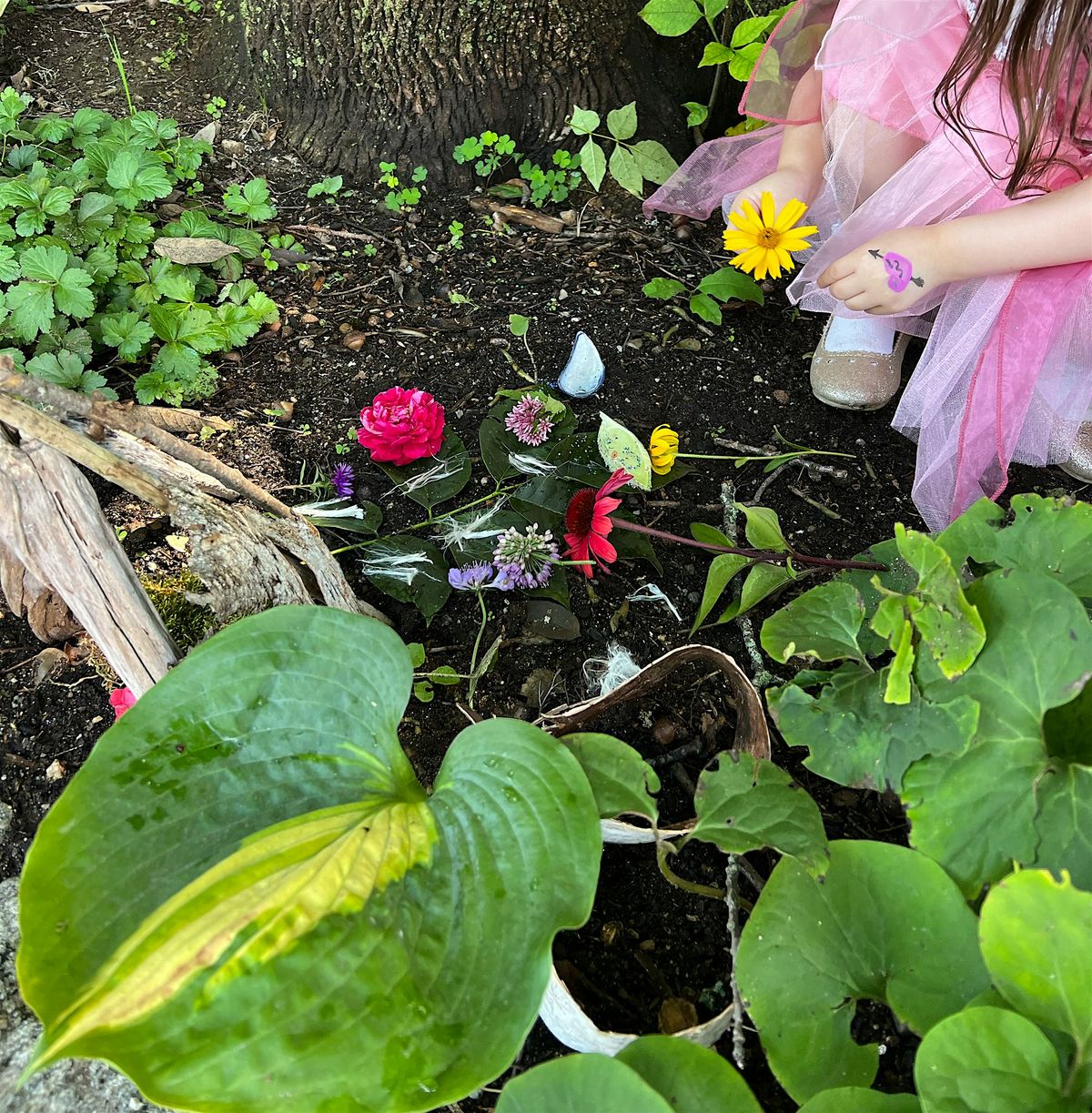 Annual  Kid's Fairy Day Celebration, 23 August | Event in Exeter | AllEvents