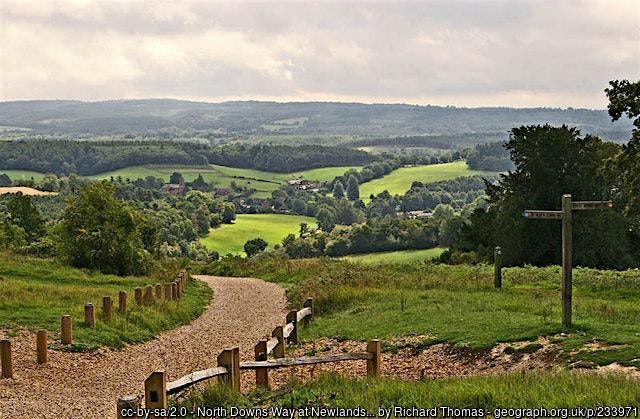 Surrey Hills Scenic Nordic Walk (St Martha's and Newlands Corner), 12 October | Event in London | AllEvents