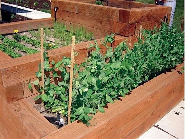 Introduction to Raised Bed Gardening Workshop, 30 June | Event in Cherokee | AllEvents