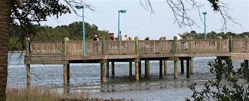 Riverbreeze Park - Land, Coastal Cleanup 2025, 20 September | Event in Oak Hill | AllEvents