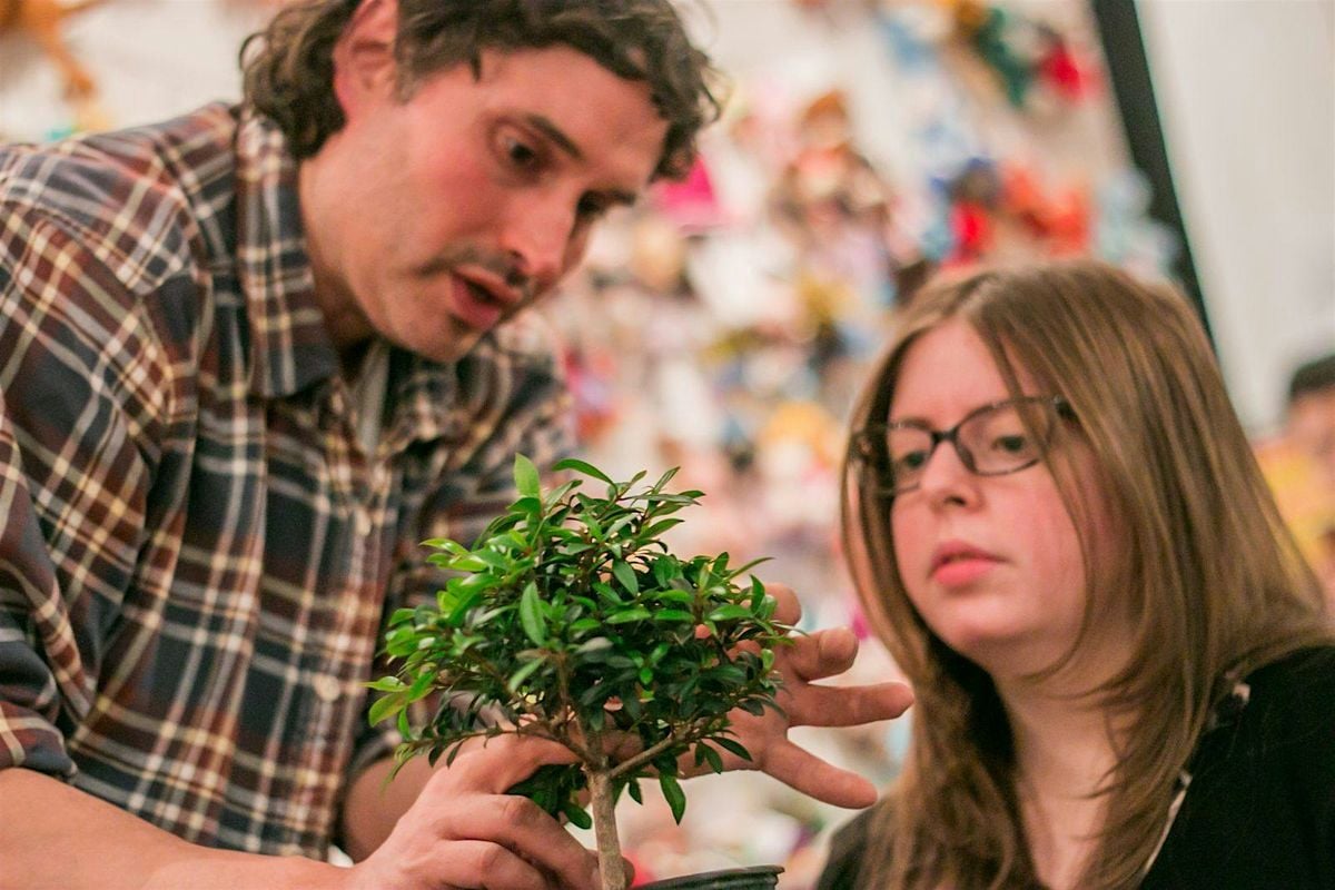 Bonsai Class, 9 November | Event in New York | AllEvents