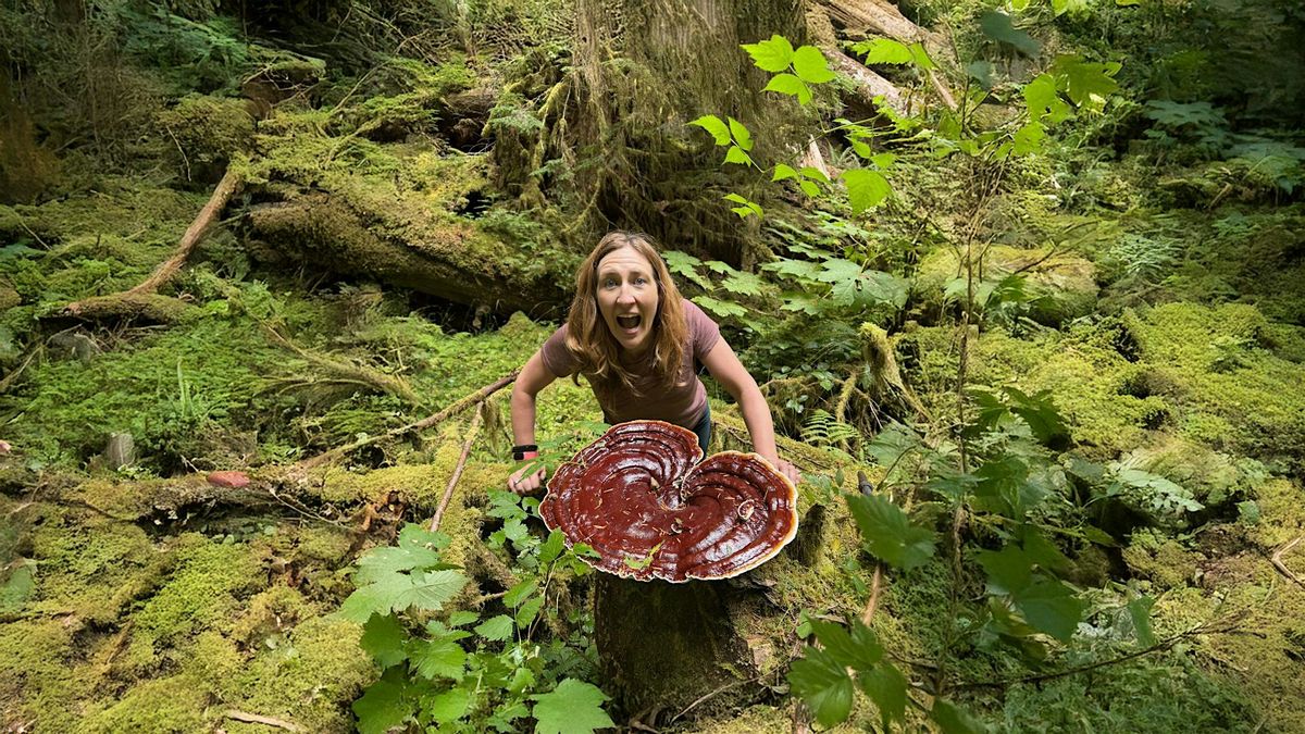 Mushroom Mania:  A Fungal Foray Further Afield, 9 November | Event in Bainbridge Island | AllEvents