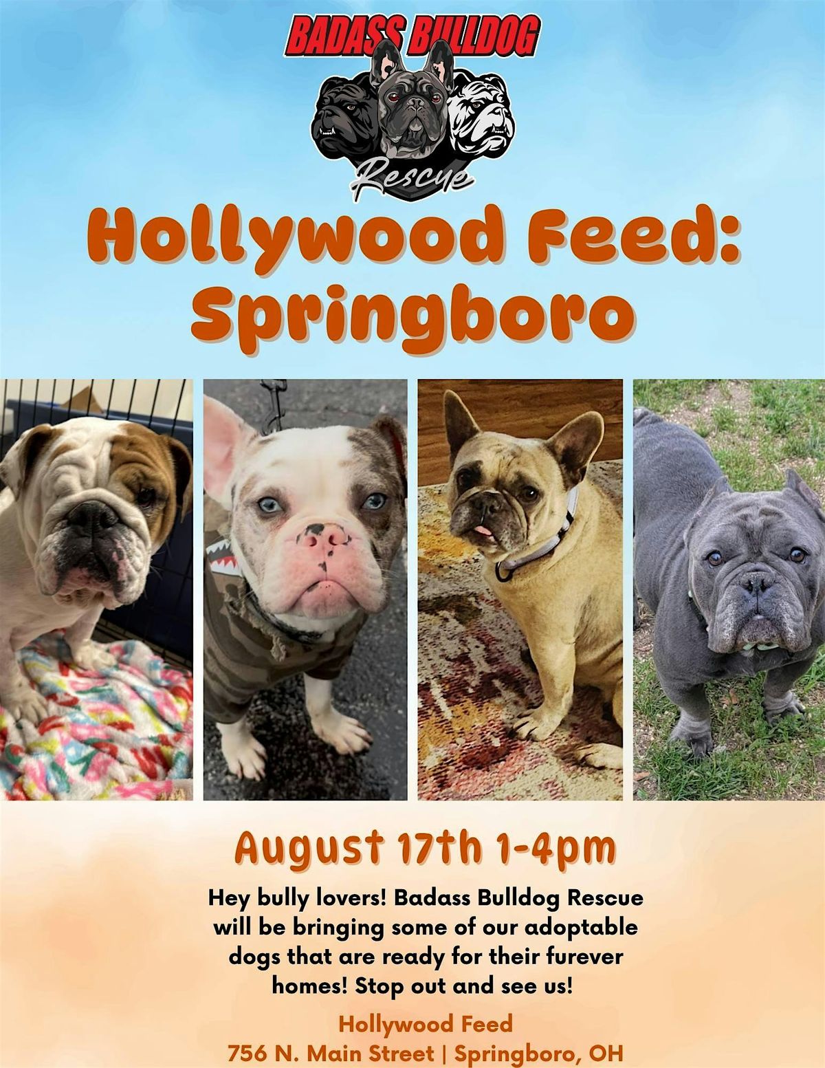 Bulldogs in Springboro, 17 August | Event in Springboro | AllEvents