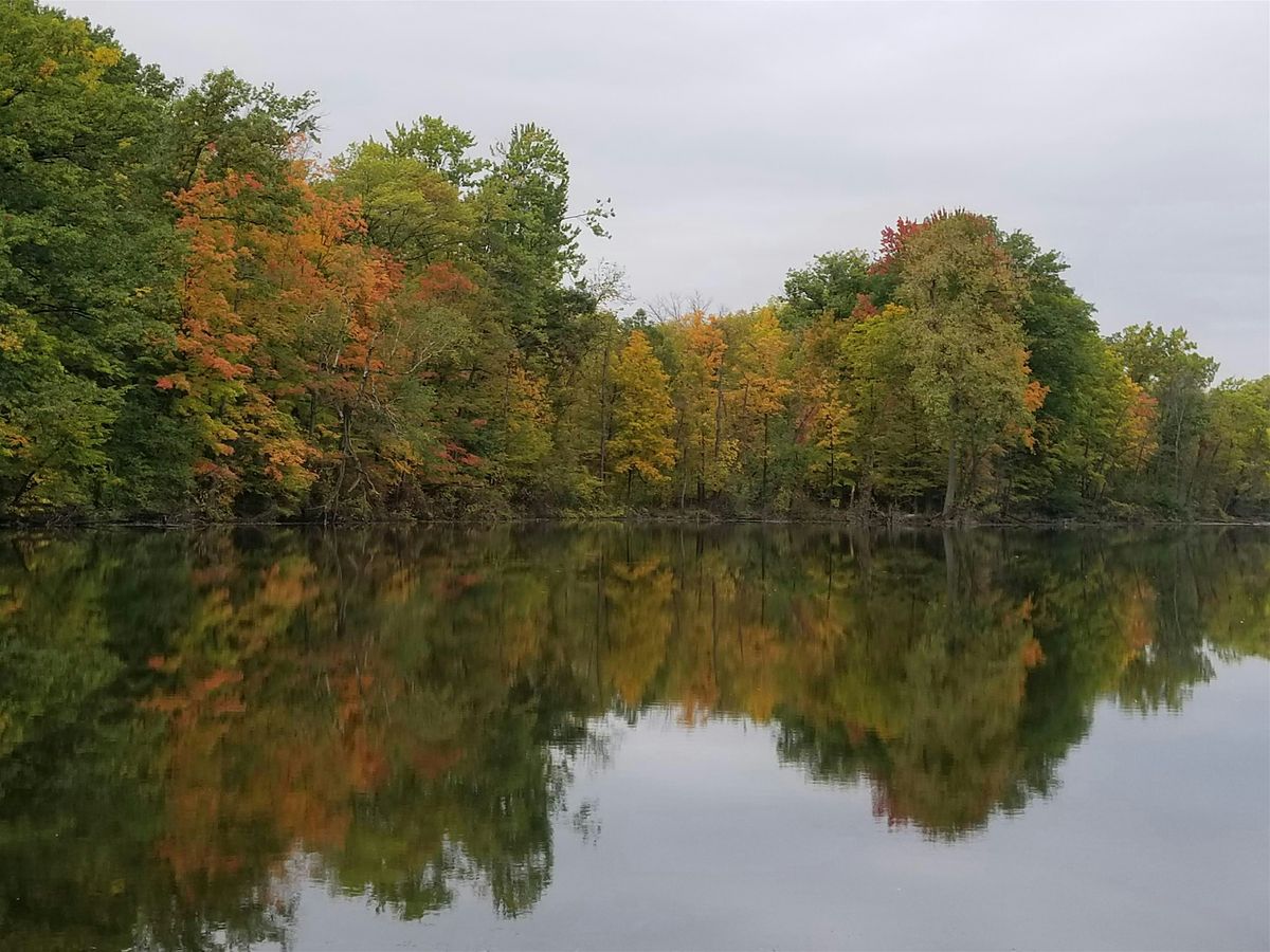 The Seasons Within: Autumn’s Release – Gathering Strength, Shedding Stress, 20 September | Event in Monroeville