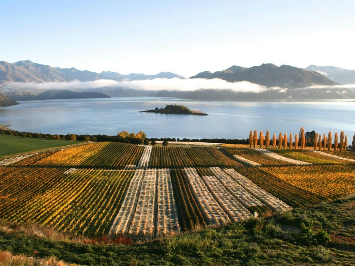 Wine Class - New Zealand, 11 September | Event in Moorhead | AllEvents