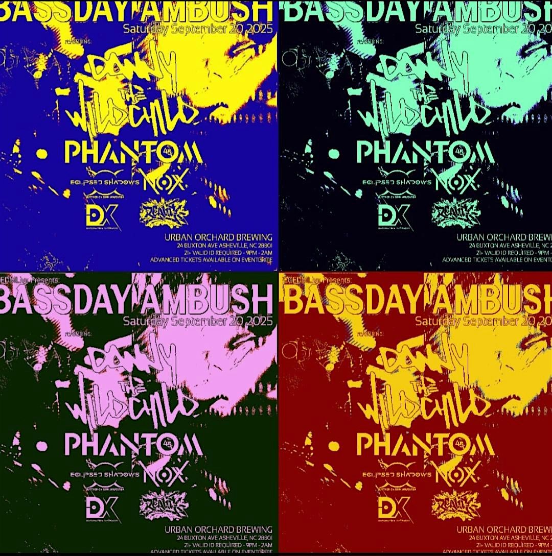 SCEDM LIVE PRESENTS  Bassday Ambush with Danny the Wildchild and Phantom 45, 20 September | Event in Asheville
