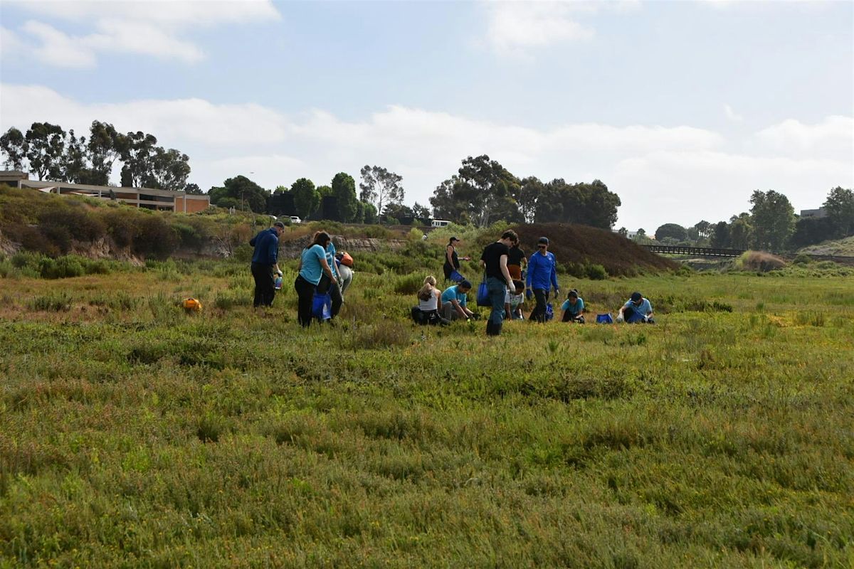 OCH Restoration at the Upper Newport Bay (Salt Marsh) | Event in Newport Beach | AllEvents