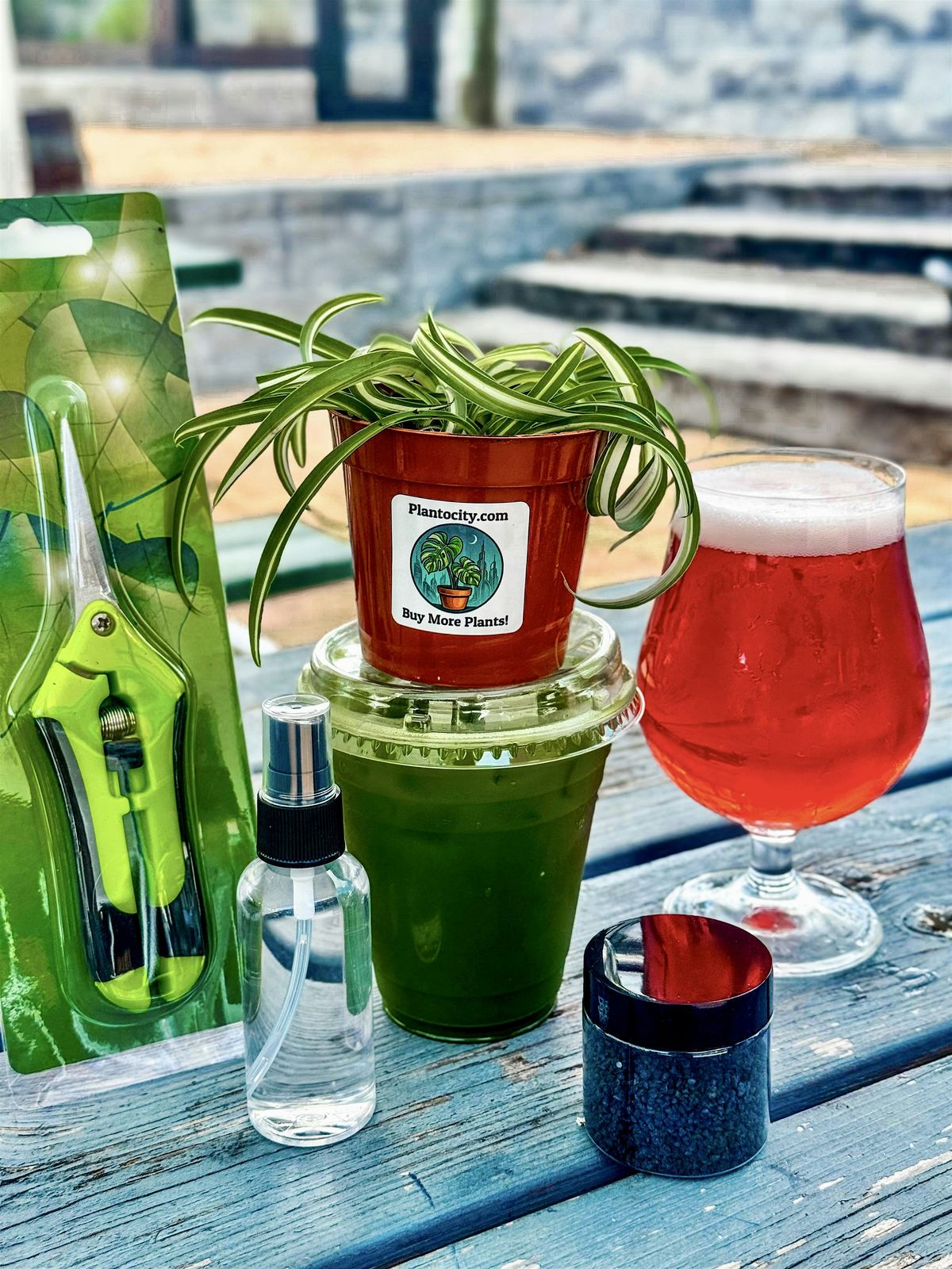 Plantocity Plant Propagation Class @Home State Brewery, 13 September | Event in Winter Garden | AllEvents