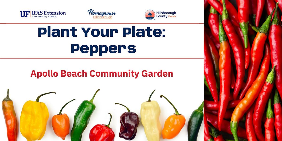 Plant Your Plate: Peppers (Pruning) @ Apollo Beach Community Garden, 7 October | Event in Apollo Beach | AllEvents