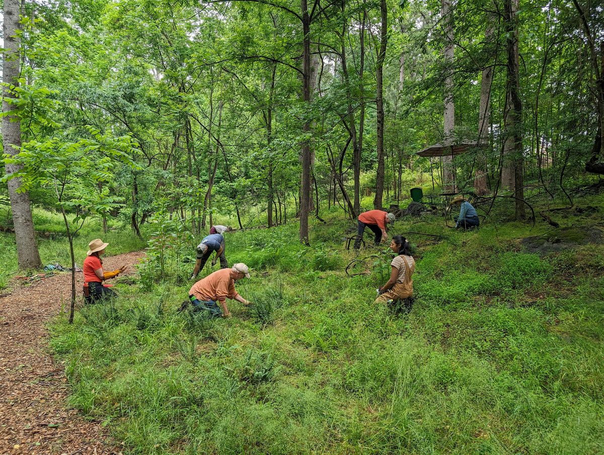 Invasive Plant Workday  at Confluence Natural Area, 6 September | Event in Hillsborough | AllEvents