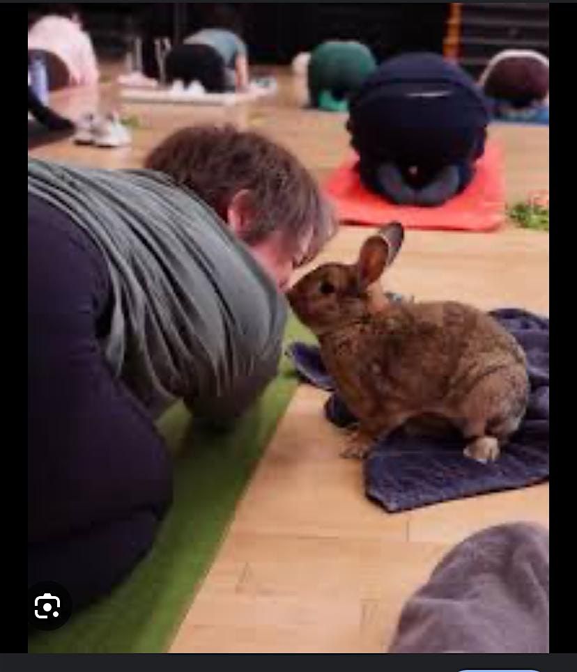 Hop & Flow: Pilates with a Bunny Twist, 26 July | Event in Portland | AllEvents