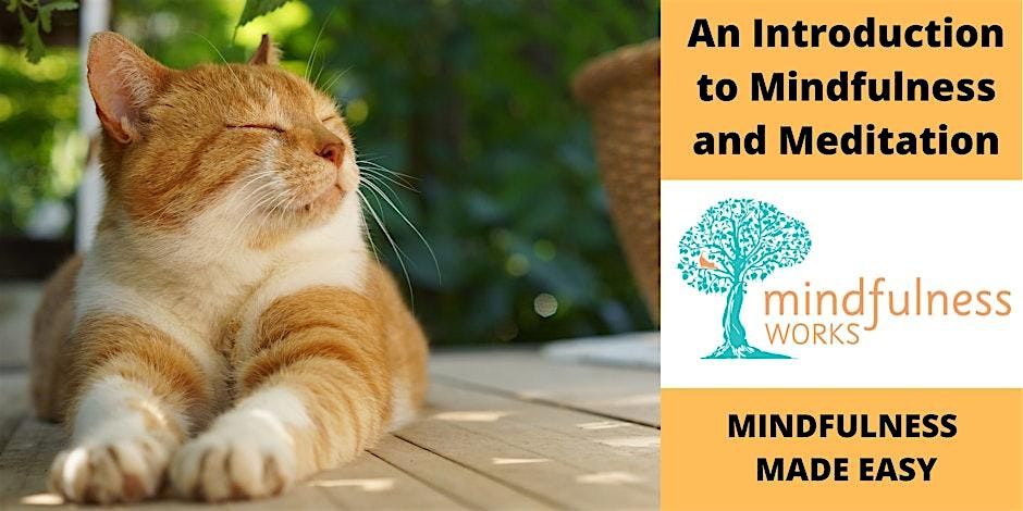 An Introduction to Mindfulness and Meditation 4-week Course — Buderim, 11 November | Event in Buderim | AllEvents