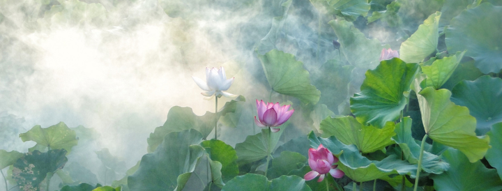 Hatha yoga accessible à tous, 63 Rue de Village, 13006 Marseille