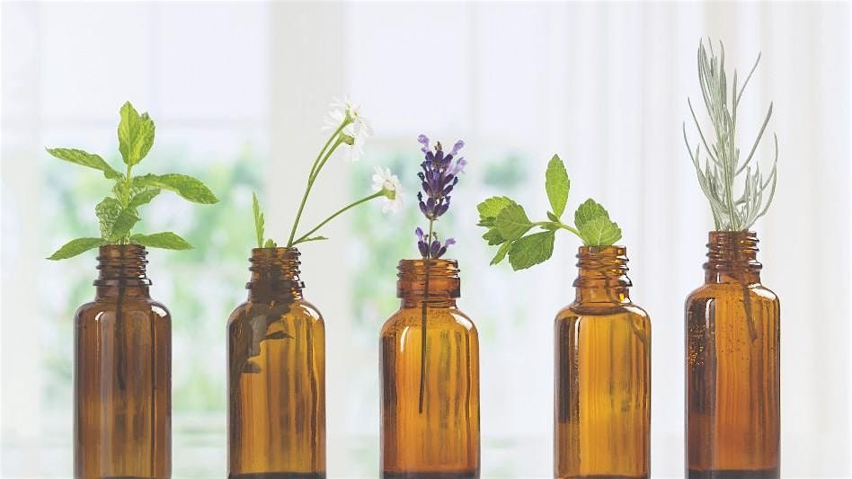 Scent-sational You! Create Your Own Aromatherapy Blends, 1 November | Event in Frankford | AllEvents