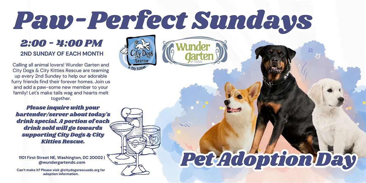 Paw Perfect Sundays: Pet Adoption Day | Event in Washington | AllEvents