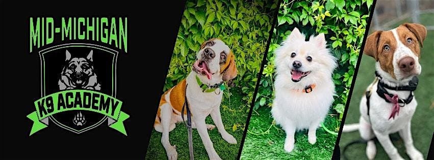 MMK9A Official Ribbon Cutting Ceremony!, 29 July | Event in Troy | AllEvents