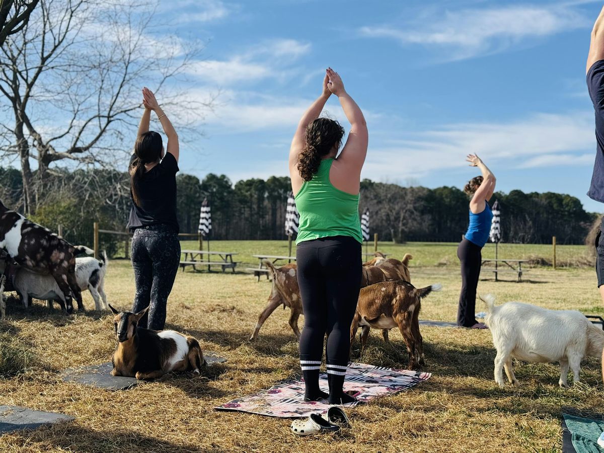 GOAT YOGA, 7 December | Event in Fremont | AllEvents
