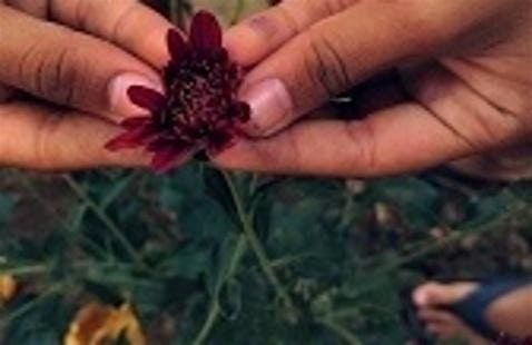 Nature in Mind - Human Flourishing: Sowing the Seeds of Thriving, 4 October | Event in Baltimore | AllEvents