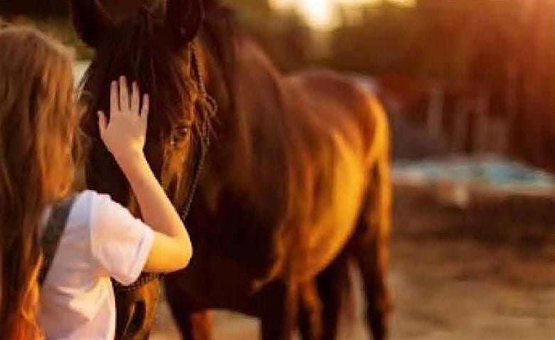 Horses for Healing Equestrian Program  - 01/20/2026 - 03/10/2026, 20 January | Event in Lake Forest | AllEvents