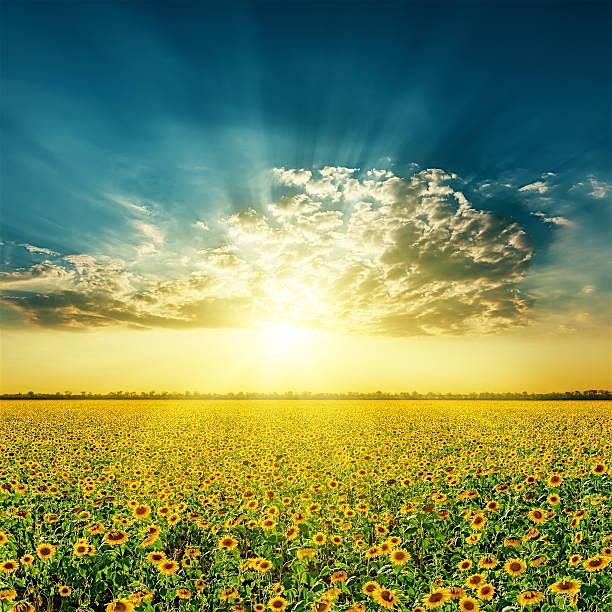 Crankin' Against Sibling Grief Support Group, 30 August | Event in Garner | AllEvents
