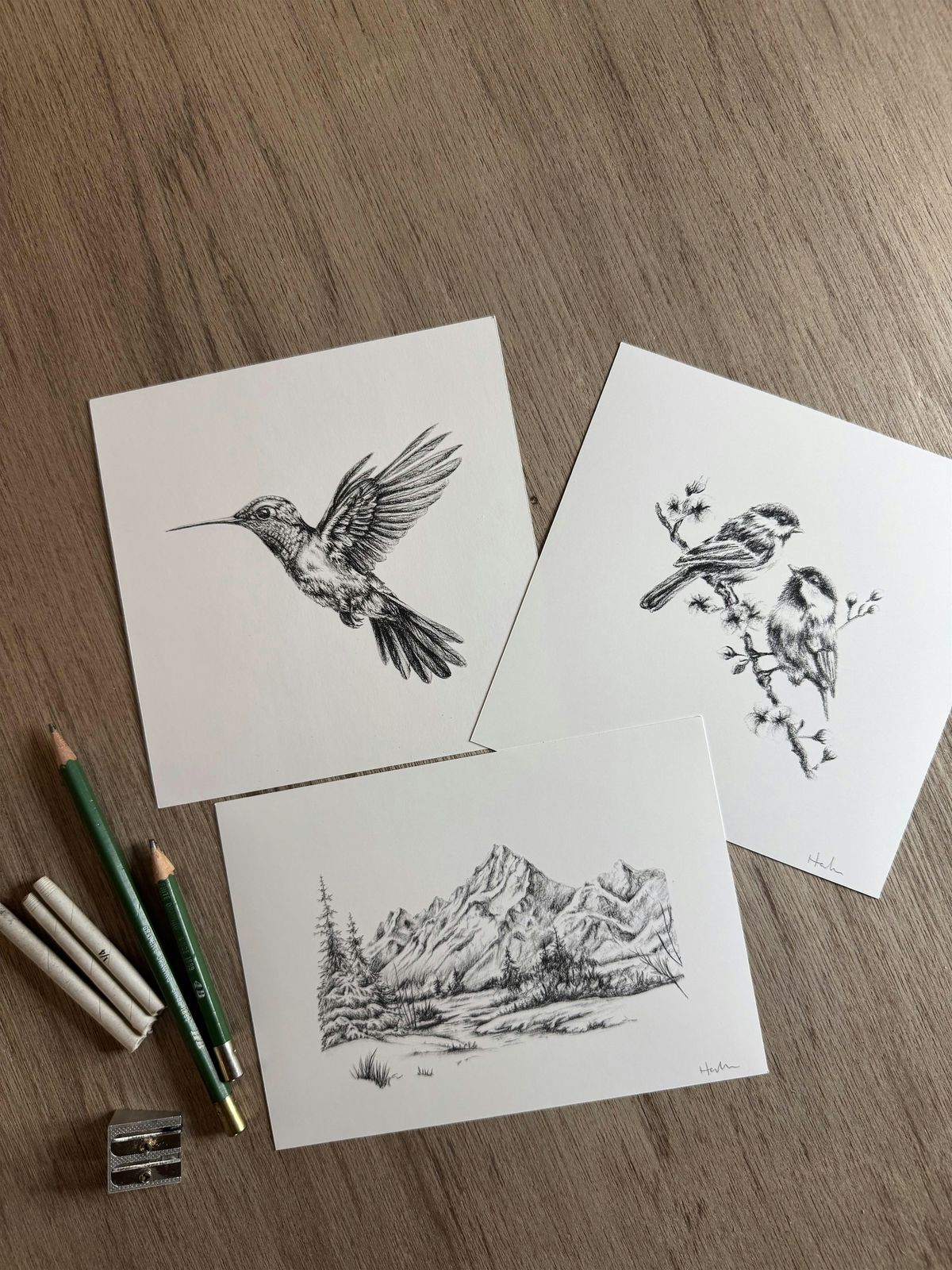 Wilderness inspired charcoal drawing class, 14 June | Event in Loveland | AllEvents