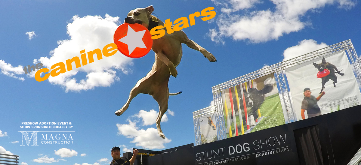 The Canine Stars Stunt Dog Show at Chandler Center for the Arts - Arizona, 21 February | Event in Chandler