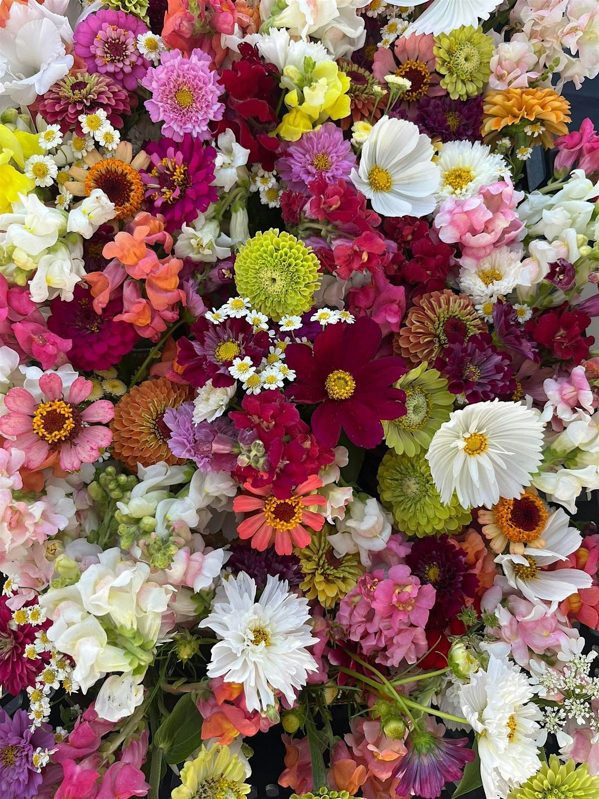Build Your Own Bouquet @ The Tiny Bookshelf, 16 August | Event in Lake Mills | AllEvents