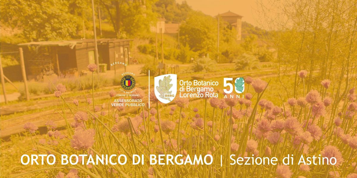 LABORATORIO DI COMPOSTAGGIO DOMESTICO: DAI PRINCIPI ALLA MESSA IN PRATICA, 29 November | Event in Bergamo