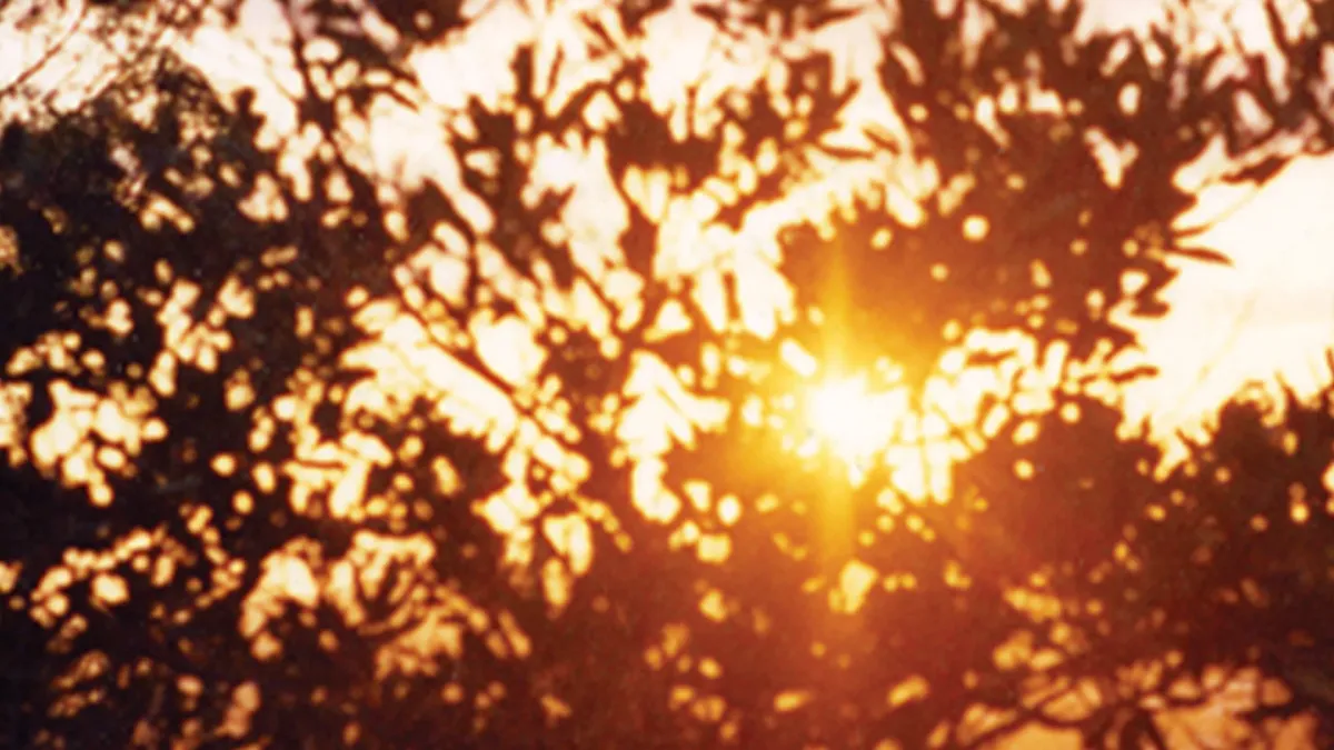 Kurt Vile, Stephen Malkmus in Memphis, 6 December | Event in Memphis | AllEvents