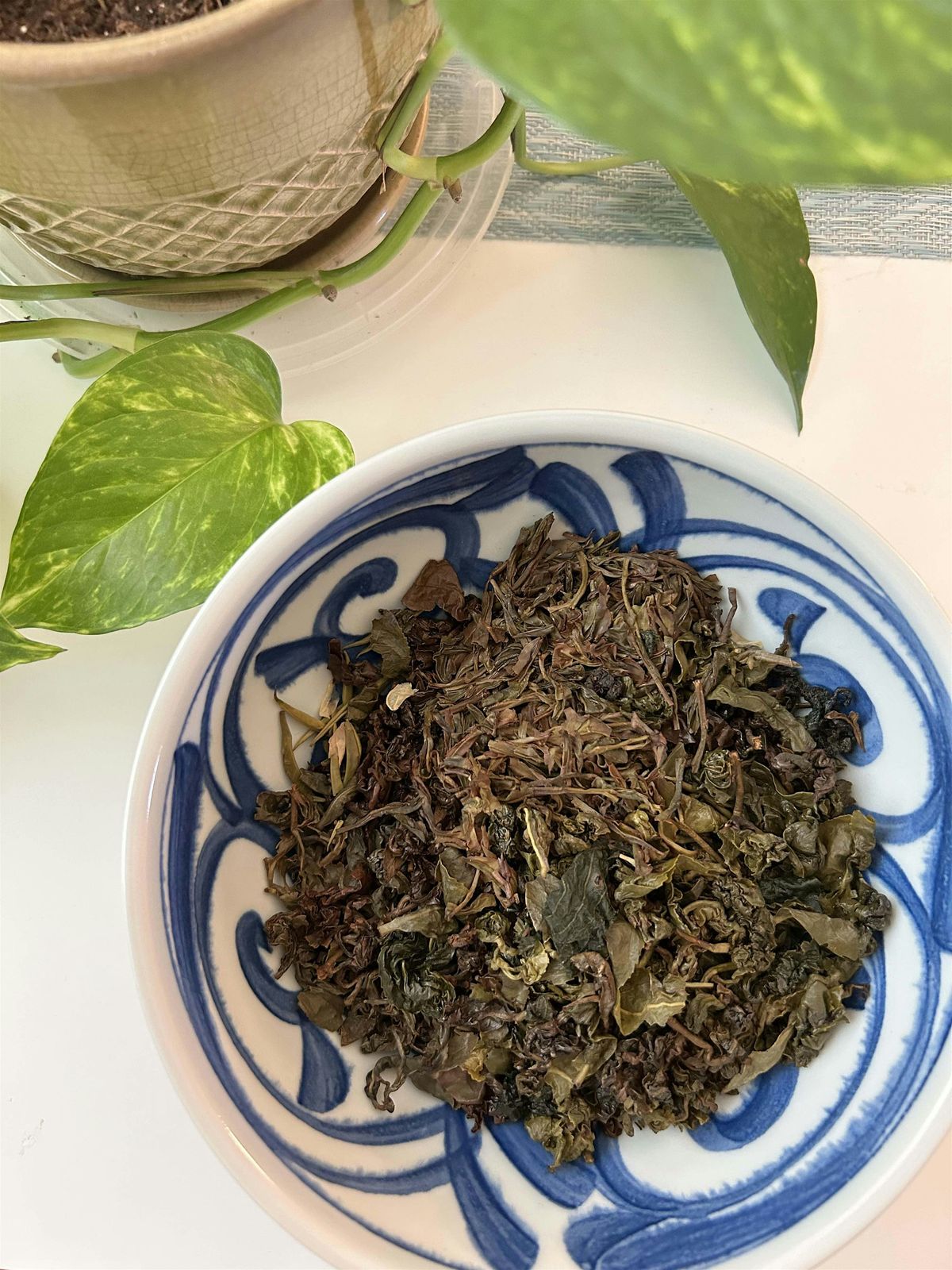 Slow Sundays Tea Club at Little Green Plant Bar | Event in Redwood City | AllEvents