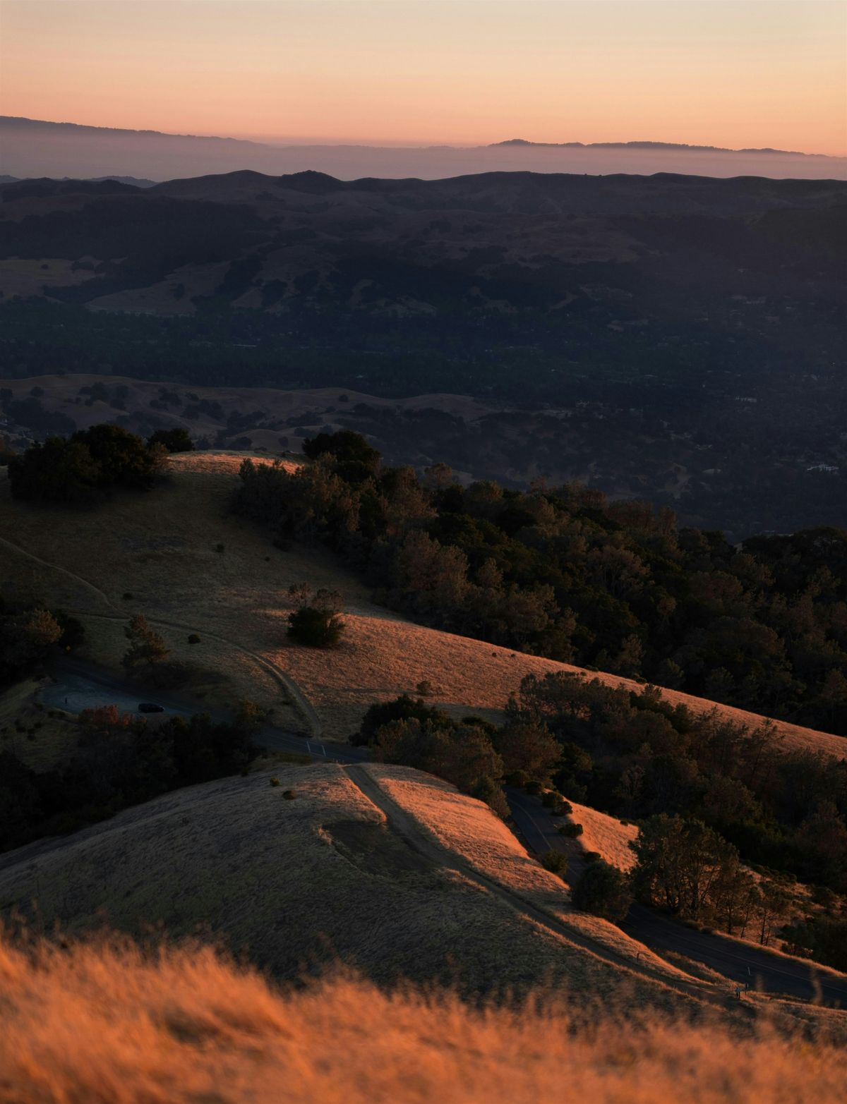 Mount Diablo Burn Scar Tour, 31 May | Event in Clayton | AllEvents