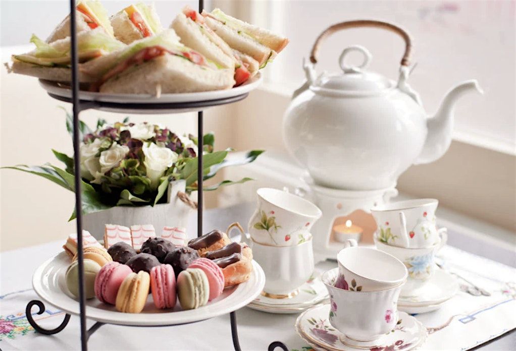 Tea-rrarium Party! | Event in Albuquerque | AllEvents