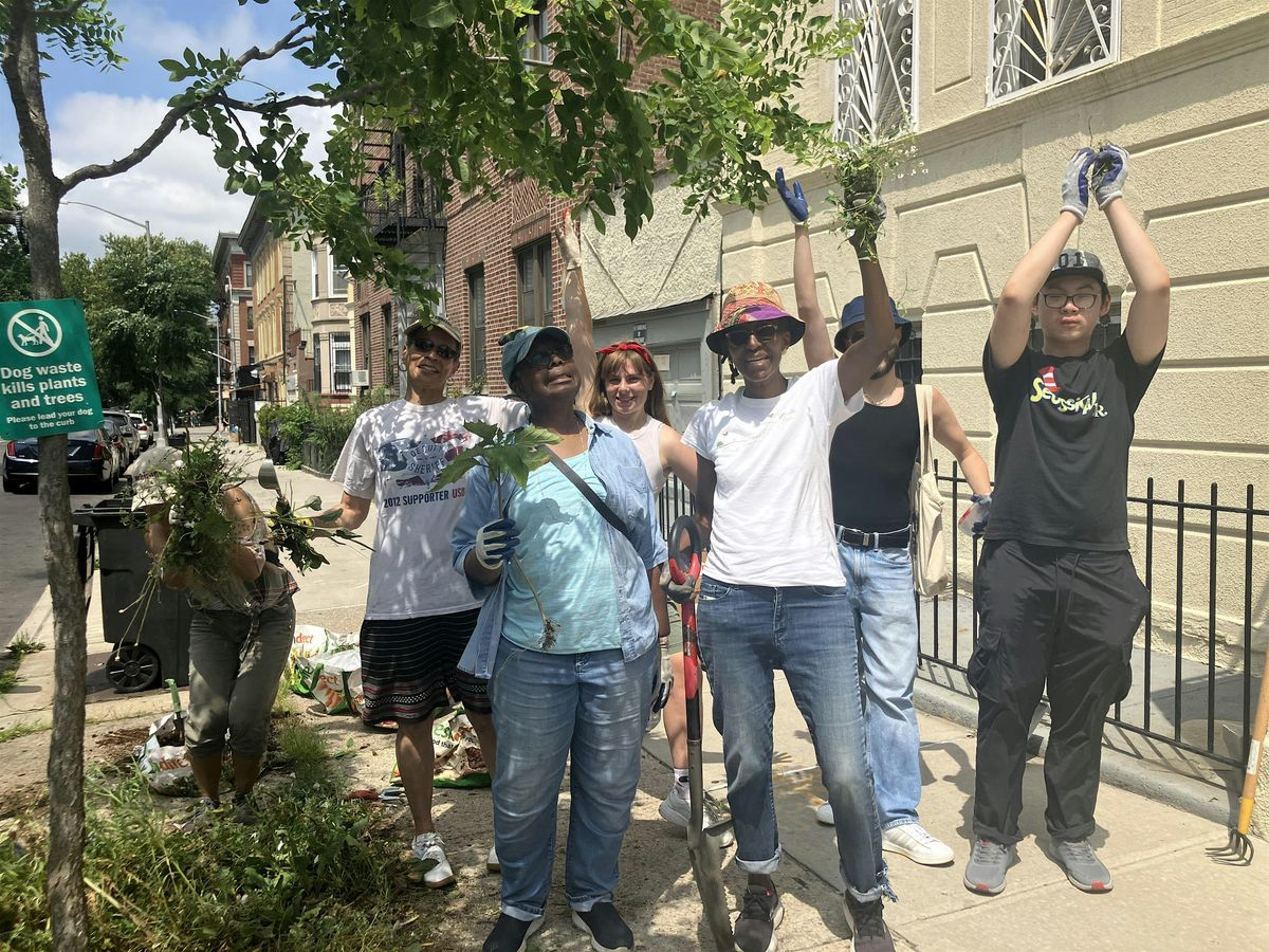 Street Tree Care w/ HSVK Block Association, 13 September | Event in Brooklyn | AllEvents