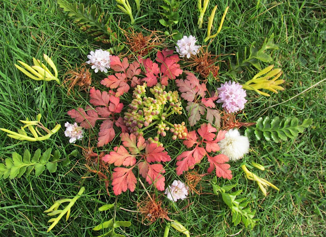 October Women's Circle, 16 October | Event in Silverthorne | AllEvents