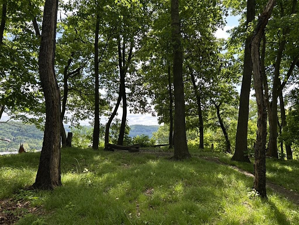 Hays Woods Ranger Guided Hike- Overlooks, 4 September | Event in Pittsburgh | AllEvents
