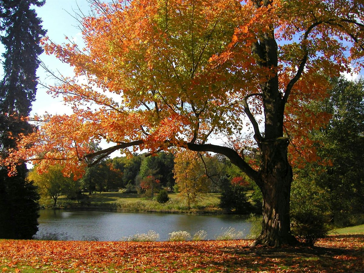 Dendrology Workshop, 7 November | Event in Hillsborough | AllEvents