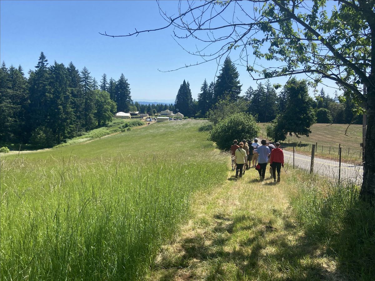 Rilee Park Trail Restoration, 16 August | Event in Newberg | AllEvents