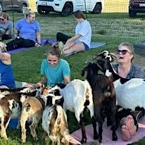 Goat Yoga and Ice Cream at Deere Valley Farms 2025, 18 May | Event in Dickerson | AllEvents